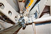 IMG_2279.jpg