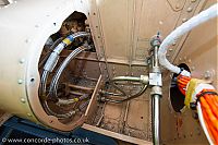 IMG_2311.jpg