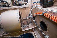 IMG_2326.jpg