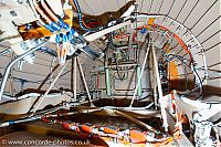 IMG_2329.jpg