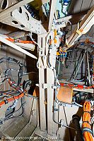IMG_2351.jpg