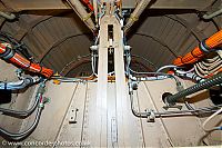 IMG_2364.jpg