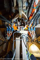 IMG_2445.jpg
