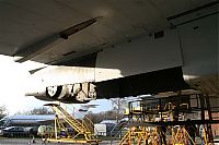 IMG_4147-01.jpg