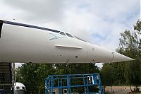 IMG_7890-01.jpg