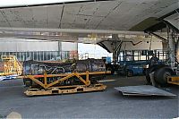IMG_8501-01.jpg