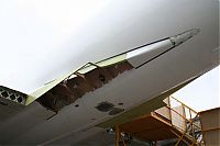IMG_6786-01.jpg