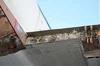 IMG_2993-01.jpg