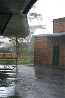IMG_1336-01.jpg