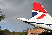 IMG_1341-01.jpg
