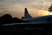 IMG_9027-01.jpg