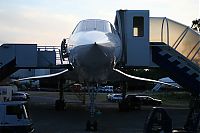 IMG_9105-01.jpg
