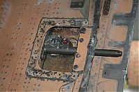 IMG_4537-01.jpg
