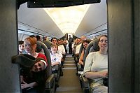 IMG_9312-01.jpg