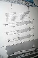 IMG_6935-01.jpg