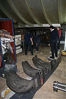 IMG_1385-01.jpg
