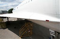 IMG_7008-01.jpg