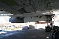 IMG_3776-01.jpg