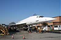 IMG_3785-01.jpg