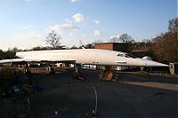 IMG_3936-01.jpg