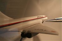 IMG_1447-01.jpg
