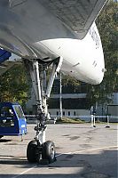 IMG_1461-01.jpg