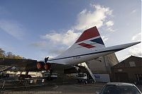 IMG_1442-01.jpg