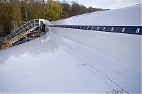 IMG_1446-01.jpg