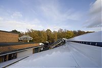 IMG_1450-01.jpg