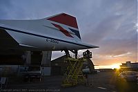 IMG_1455-01.jpg