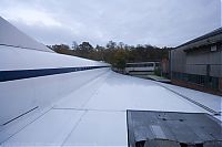 IMG_1493-01.jpg