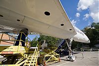 IMG_0481-01.jpg
