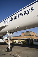IMG_0956-01.jpg
