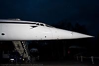 IMG_1866-01.jpg