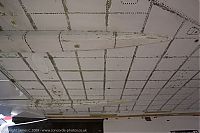IMG_1619-01.jpg