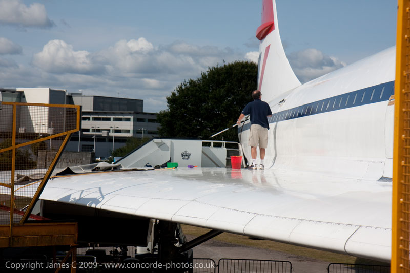 IMG_3750-01.jpg