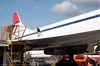 IMG_3749-01.jpg