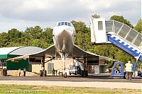 IMG_0597.jpg