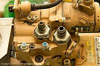 IMG_9864.jpg