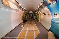IMG_2498.jpg