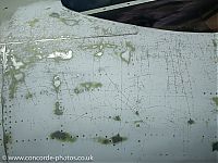 20200620_142341_IMG_4775.jpg