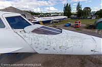 20200620_171334_IMG_8422.jpg