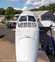 20200620_171617_IMG_8436.jpg