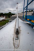 20210606_100455_IMG_2841.jpg