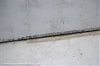 20210607_104903_IMG_2880.jpg