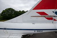 20210619_170307_IMG_3195.jpg