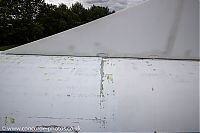 20210827_154055_IMG_4394.jpg