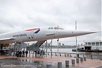 IMG_8584.jpg