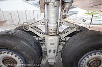 IMG_8593.jpg