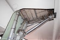 IMG_8601.jpg